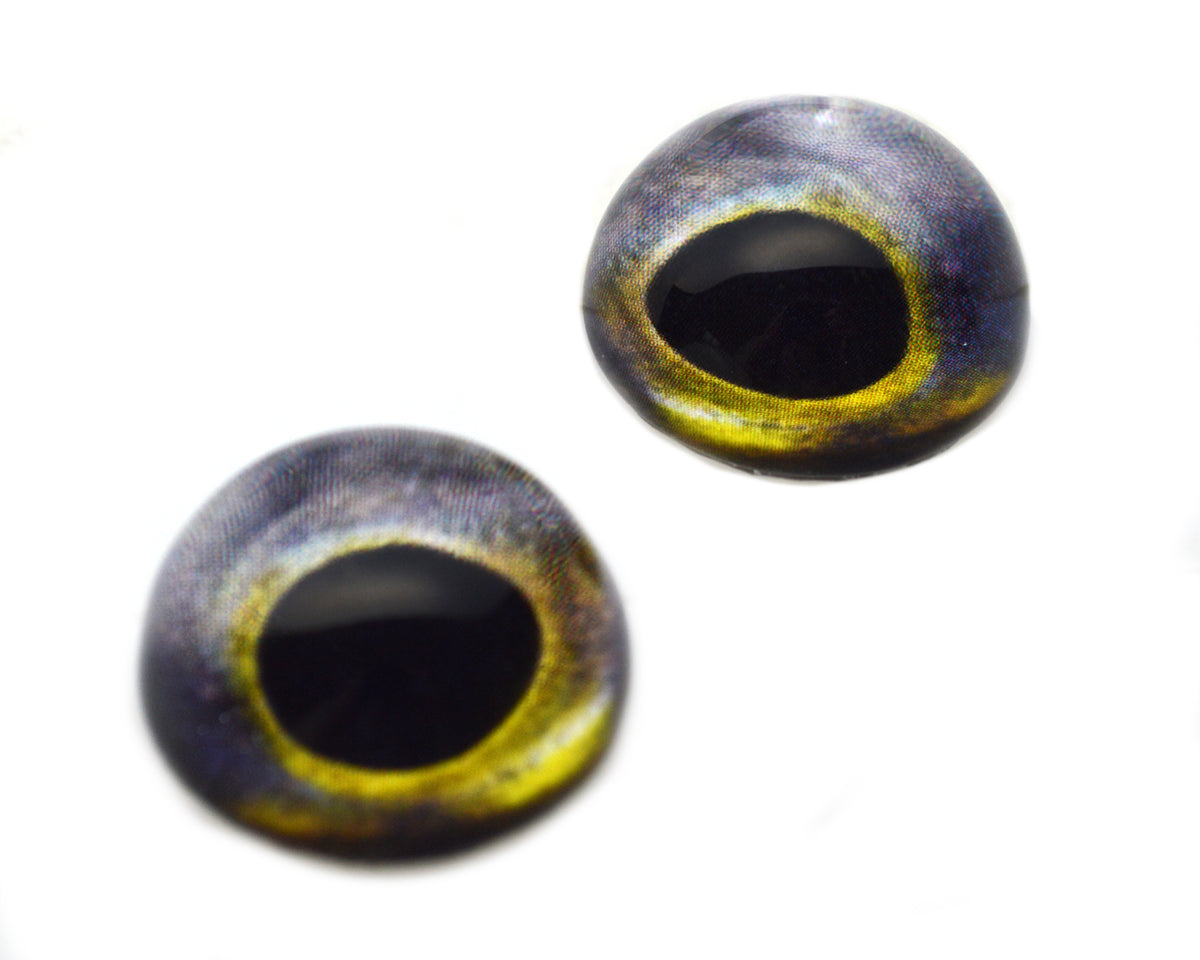 High Domed Northern Pike Predator Fish Glass Eyes – Handmade Glass Eyes