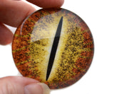 Orange Dinosaur Glass Eyes