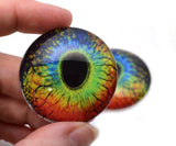 Rainbow lizard Reptile Glass Eyes