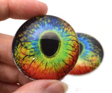 Rainbow lizard Reptile Glass Eyes