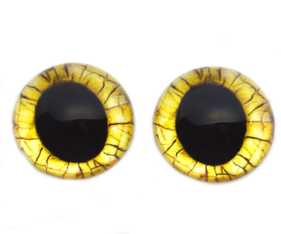 Yellow raptor high dome glass eyes