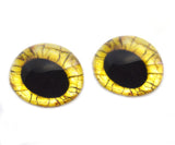 Yellow raptor high dome glass eyes