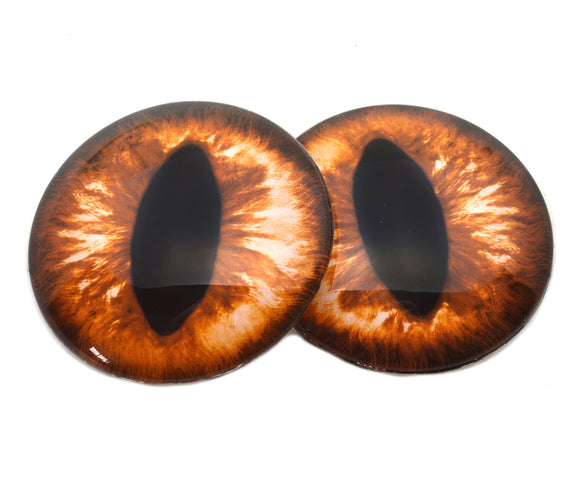 Pair of amber colored brown and black glass cat eyes on a white background