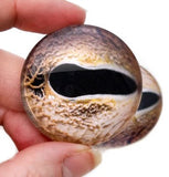 Asian whip snake glass eye cabochon