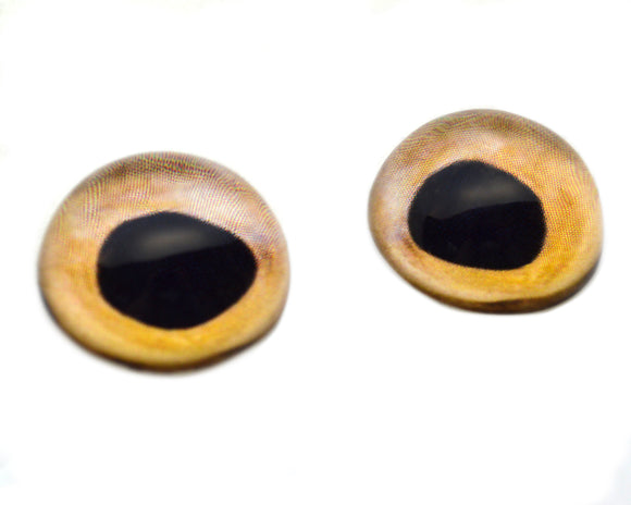 High Domed Beige Fish Glass Eyes