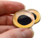 High Domed Beige Fish Glass Eyes