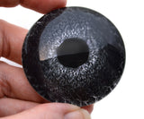 Large Black Bird Glass Eyes