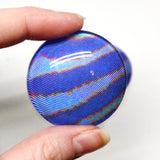Blue Striped Horsefly Insect Glass Eye