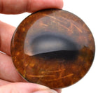 Brown Moose Flatback Glass Cabochon Eyes