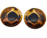 Brown Speckled Trout Fish Glass Eyes
