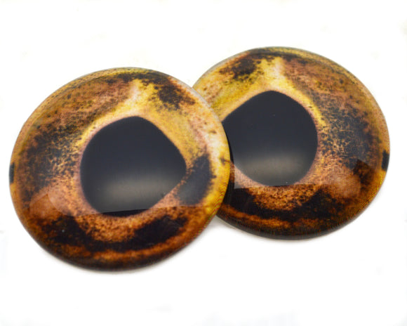 Brown Speckled Trout Fish Glass Eyes