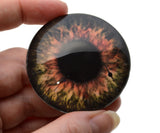 Brown Steampunk Clockface Large glass eye