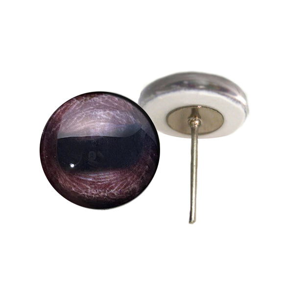 Bison buffalo eyes on wire pin posts