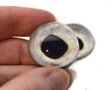 High Domed Chinook Salmon Fish Glass Eyes