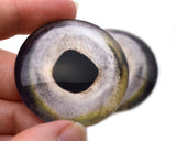 Chinook Salmon Fish Glass Eyes