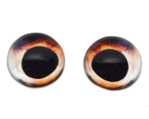 High Domed Cod Fish Glass Eyes