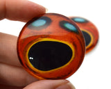Coral Grouper Fish Glass Eyes