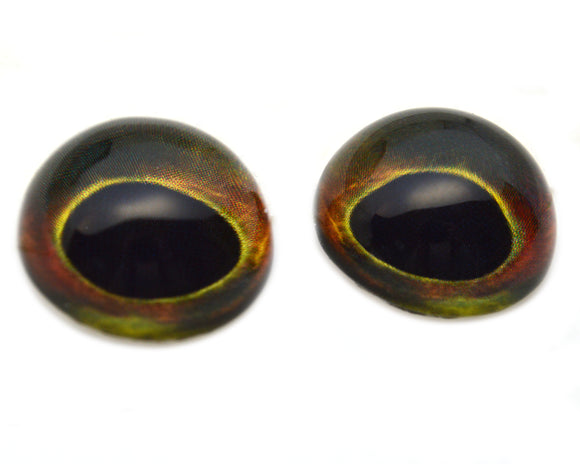 High Domed Dark Brown and Lime Green Fish Glass Eyes