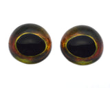 High Domed Dark Brown and Lime Green Fish Glass Eyes