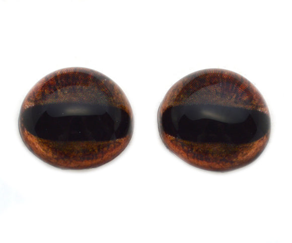 High Domed Brown Giraffe Glass Eyes