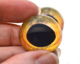 High Domed Golden Yellow Fish Glass Eyes