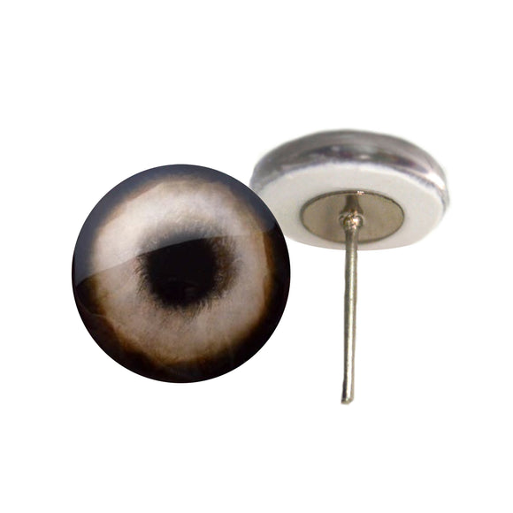 Gray Weimaraner dog eyes on wire pin posts