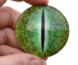 Green Dinosaur Flatback Glass Cabochon Eye