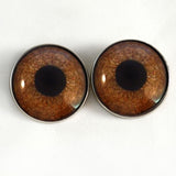 Brown Griffon sew on glass eyes