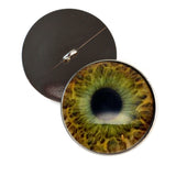 Brown and green hazel human inspired sew on glass eyes