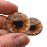 High Domed Hazelnut Brown and Gray Human Glass Eyes
