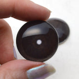 Dark Brown Bat Glass Eyes