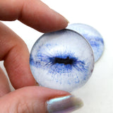 Contracted pale blue goat glass eyes