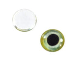 Light Green Parrot Glass Eyes