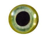 Light Green Parrot Glass Eyes
