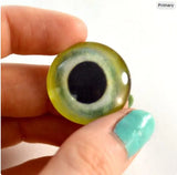 Light Green Parrot Glass Eyes