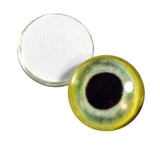 Light Green Parrot Glass Eyes