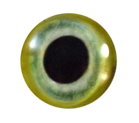 Light Green Parrot Glass Eyes