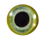 Light Green Parrot Glass Eyes