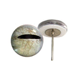 Javan tree frog glass eyes on wire pin posts