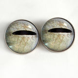 Javan tree frog sew on glass eyes