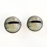 Javan tree frog sew on glass eyes