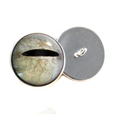 Javan tree frog sew on glass eyes