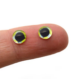 Mahi Mahi Fish Glass Eyes in Bundle