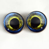 Blue and Yellow Moray Eel sew on glass eyes