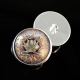 Nautical Map and Octopus sew on glass eyes