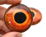 Orange Tench Fish Glass Eyes
