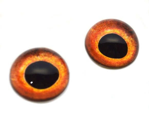 High Domed Orange Tench Fish Glass Eyes