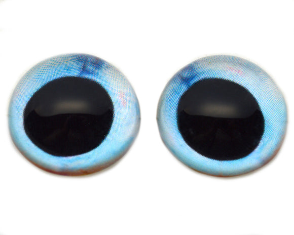 High Domed Pale Blue and Orange Fish Glass Eyes