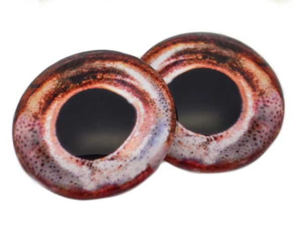 Peach Colored Glass Fish Eyes