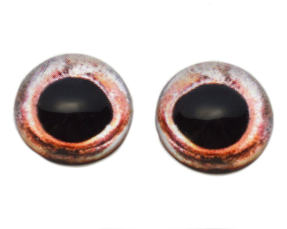 High Domed Peach Colored Fish Glass Eyes